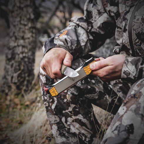 Guided Field Sharpener - Demo 